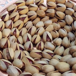 تصویر 3 از پسته کله قوچی قوچان با طعم ملایم و دلنشین اعلاء